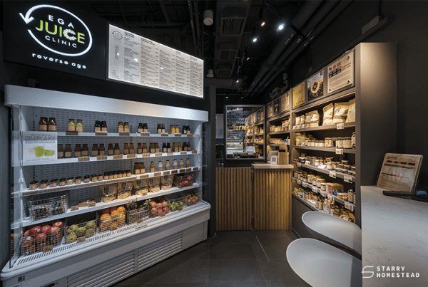Organic vegan retail store interior design